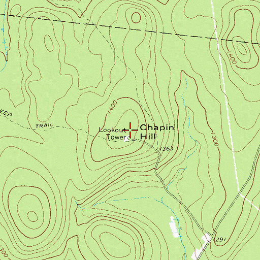 Topographic Map of Chapin Hill, NY