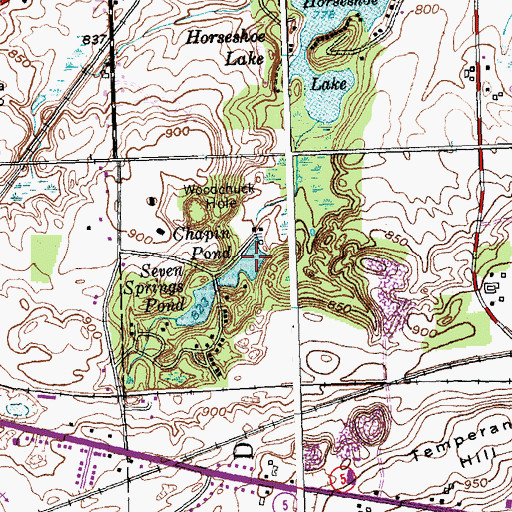 Topographic Map of Chapin Pond, NY