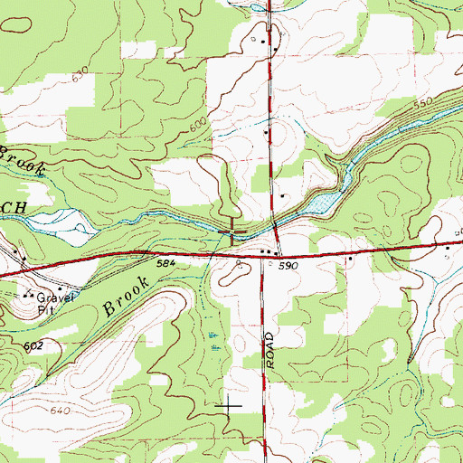Topographic Map of Chapman Brook, NY