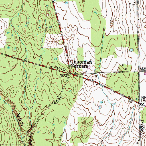 Topographic Map of Chapman Corners, NY