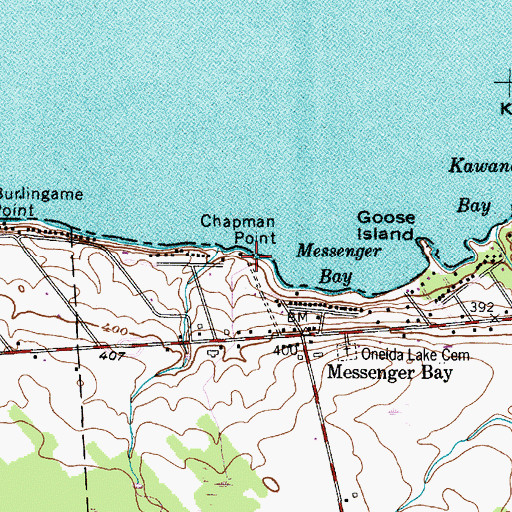 Topographic Map of Chapman Point, NY