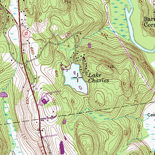 Topographic Map of Lake Charles, NY