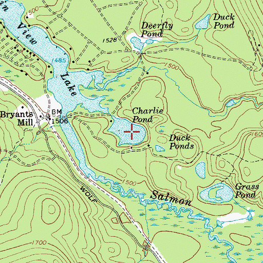 Topographic Map of Charlie Pond, NY