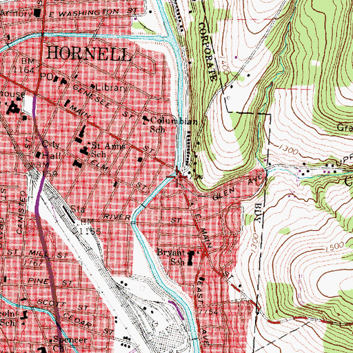 Topographic Map of Chauncey Run, NY