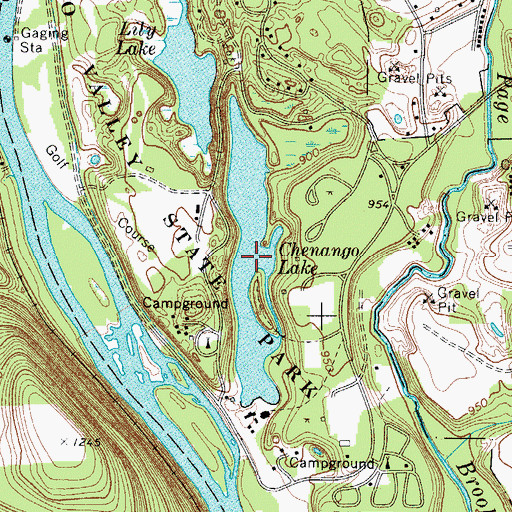 Topographic Map of Chenango Lake, NY