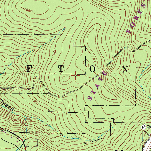 Topographic Map of Chenango State Forest, NY