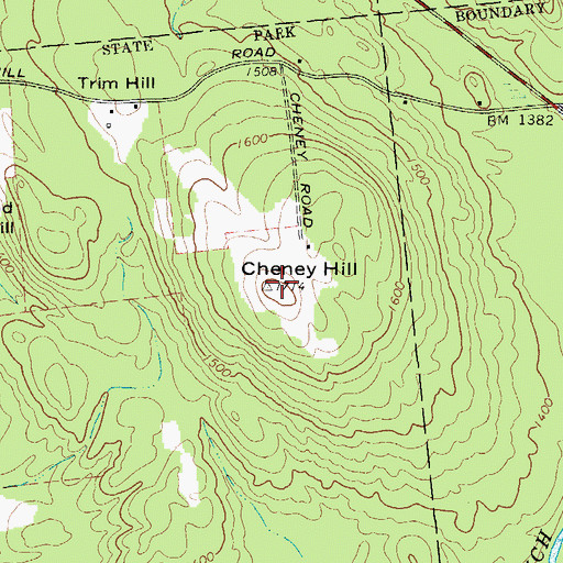 Topographic Map of Cheney Hill, NY