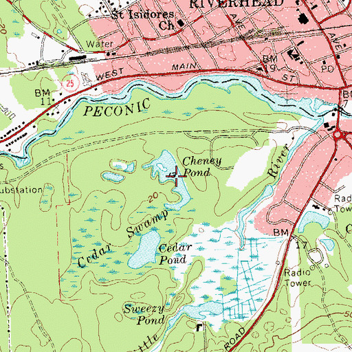 Topographic Map of Cheney Pond, NY