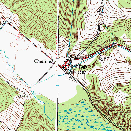 Topographic Map of Cheningo, NY