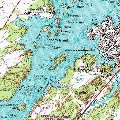 Topographic Map of Cherry Island, NY