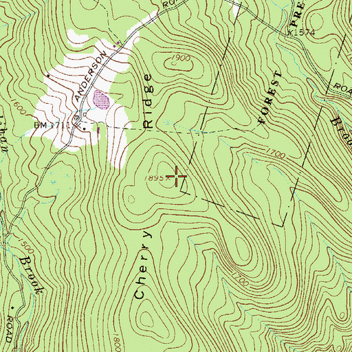 Topographic Map of Cherry Ridge, NY