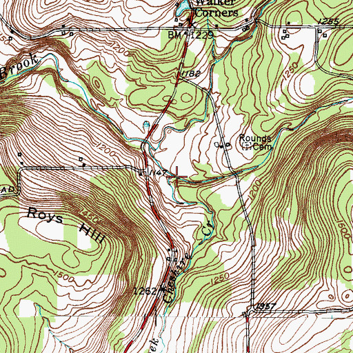Topographic Map of Cheshire Creek, NY