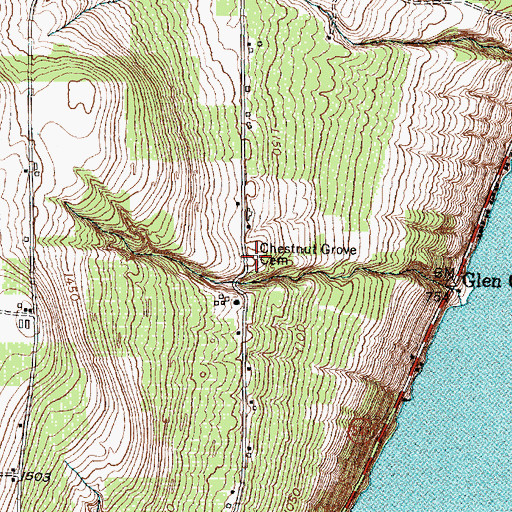 Topographic Map of Chestnut Grove Cemetery, NY