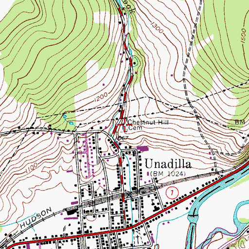 Topographic Map of Chestnut Hill Cemetery, NY