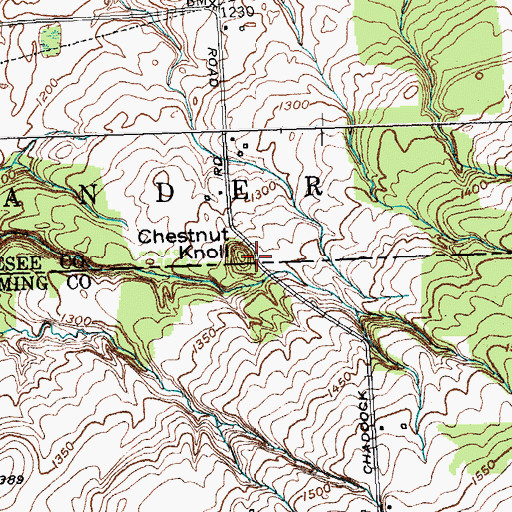 Topographic Map of Chestnut Knoll, NY