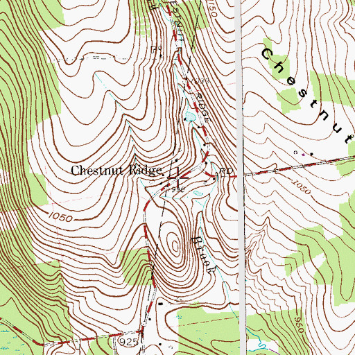 Topographic Map of Chestnut Ridge, NY