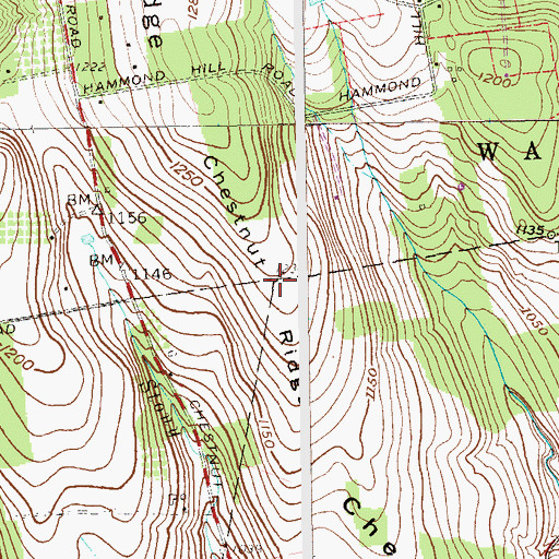 Topographic Map of Chestnut Ridge, NY
