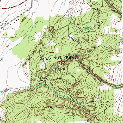 Topographic Map of Chestnut Ridge Park, NY