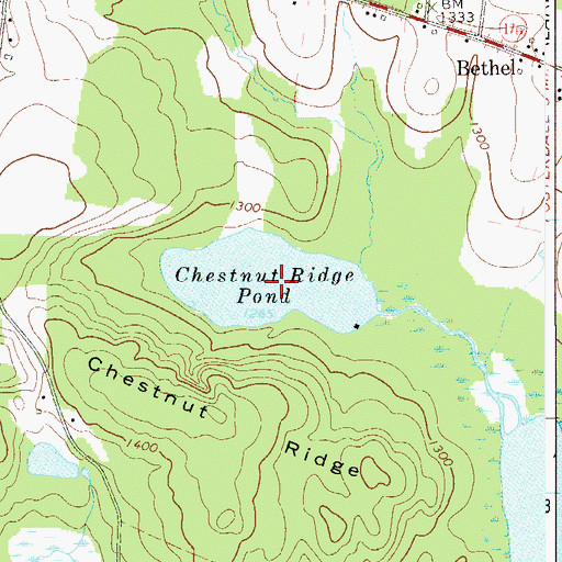 Topographic Map of Chestnut Ridge Pond, NY