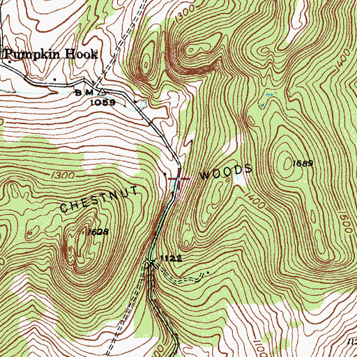 Topographic Map of Chestnut Woods, NY