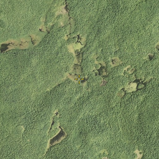 Aerial/Satellite Image of Childs Brook, NY