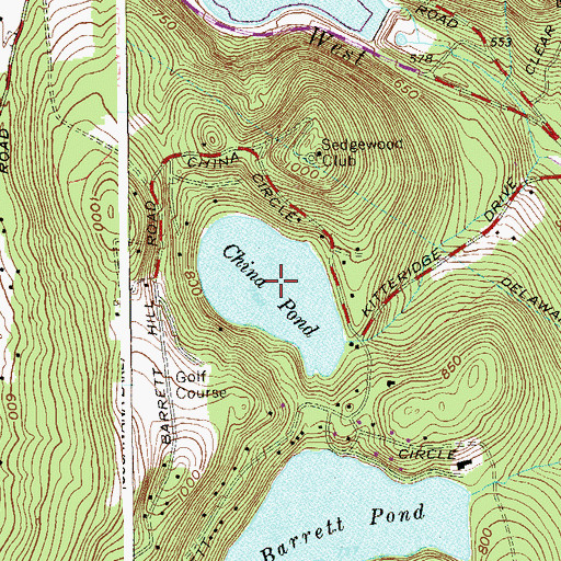 Topographic Map of China Pond, NY