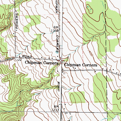 Topographic Map of Chipman Corners, NY