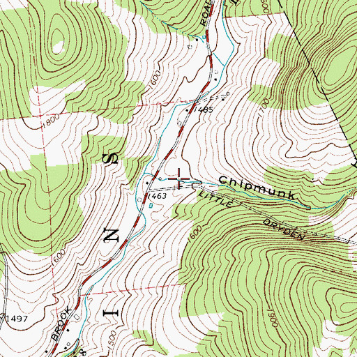 Topographic Map of Chipmunk Hollow, NY
