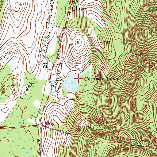 Topographic Map of Christie Pond, NY