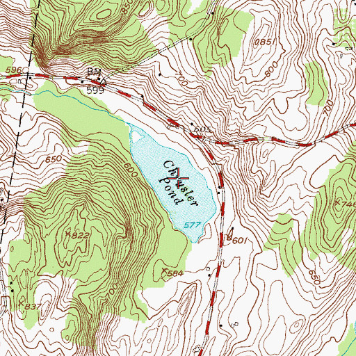 Topographic Map of Chrysler Pond, NY