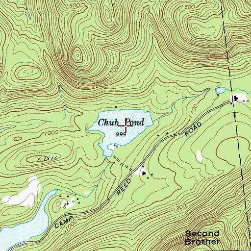 Topographic Map of Chub Pond, NY