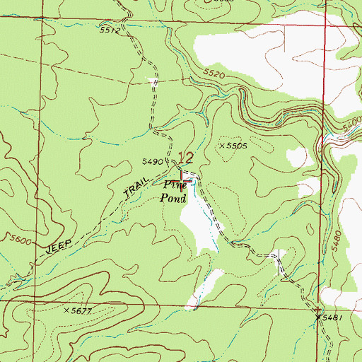 Topographic Map of Pine Pond, AZ
