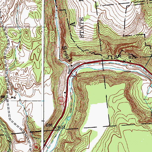 Topographic Map of Clark Brook, NY