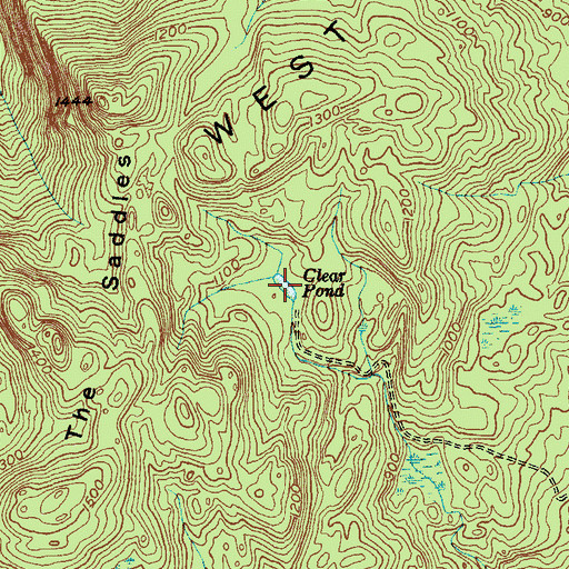 Topographic Map of Clear Pond, NY