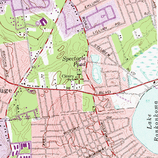 Topographic Map of Cleary School, NY