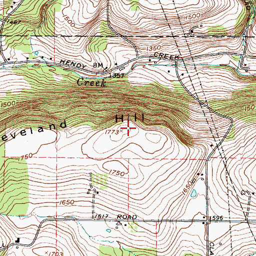 Topographic Map of Cleveland Hill, NY