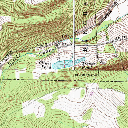 Topographic Map of Clines Pond, NY