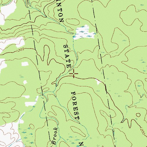 Topographic Map of Clinton State Forest Number Eight, NY