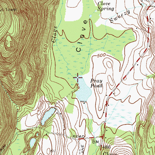 Topographic Map of Clove Brook, NY