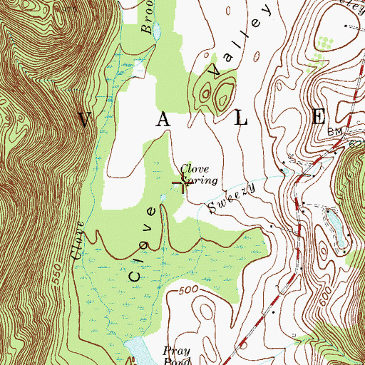 Topographic Map of Clove Spring, NY