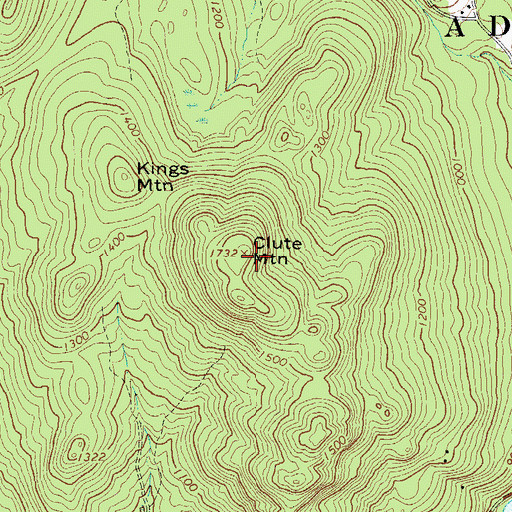 Topographic Map of Clute Mountain, NY