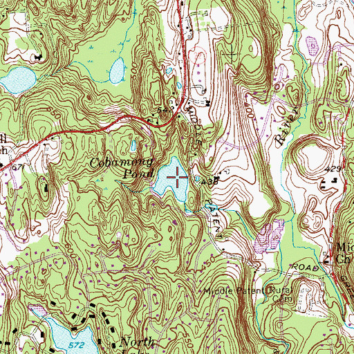 Topographic Map of Cobamong Pond, NY