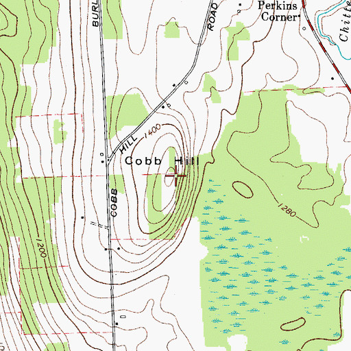 Topographic Map of Cobb Hill, NY