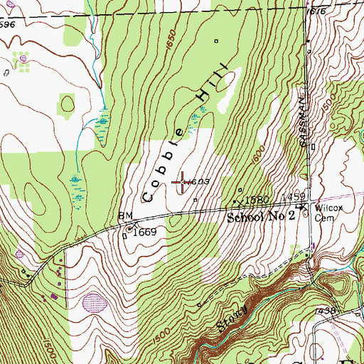 Topographic Map of Cobble Hill, NY