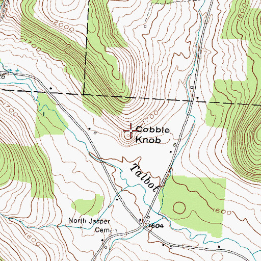 Topographic Map of Cobble Knob, NY