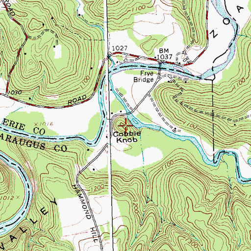 Topographic Map of Cobble Knob, NY