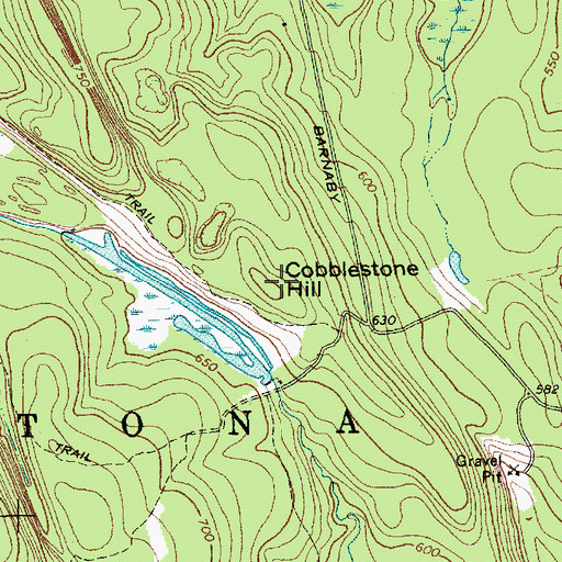 Topographic Map of Cobblestone Hill, NY