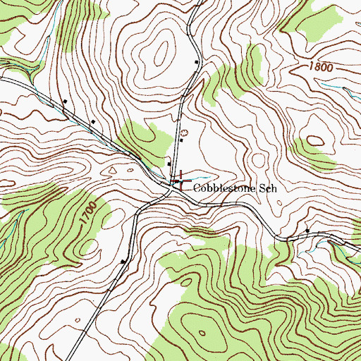 Topographic Map of Cobblestone School (historical), NY