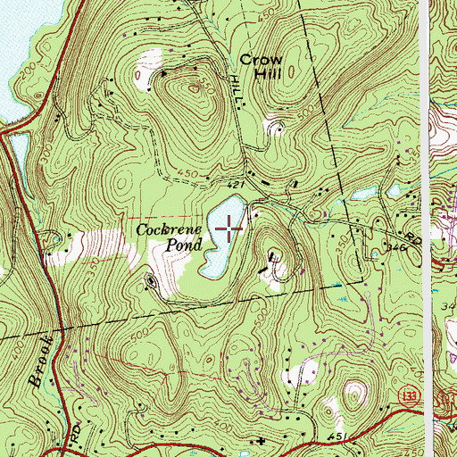 Topographic Map of Cockrene Pond, NY