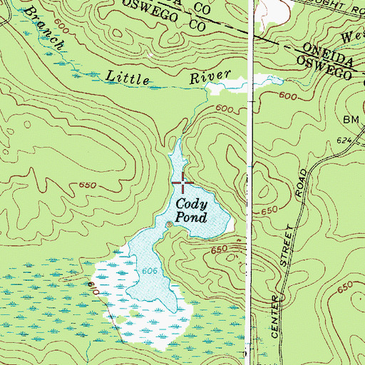 Topographic Map of Cody Pond, NY